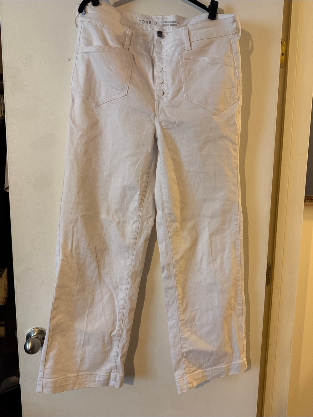 torrid White Men's Straight-Leg Button-Fly Chinos
